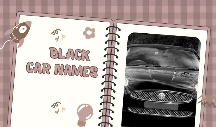 black car name