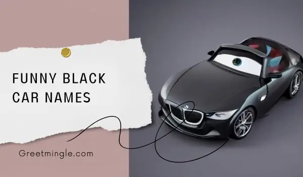 funny black car names 