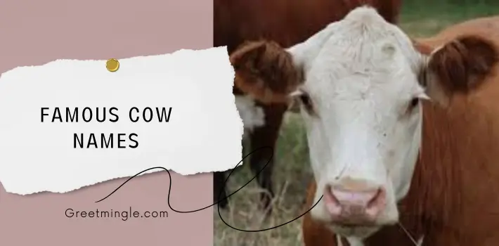 Famous Cow Names