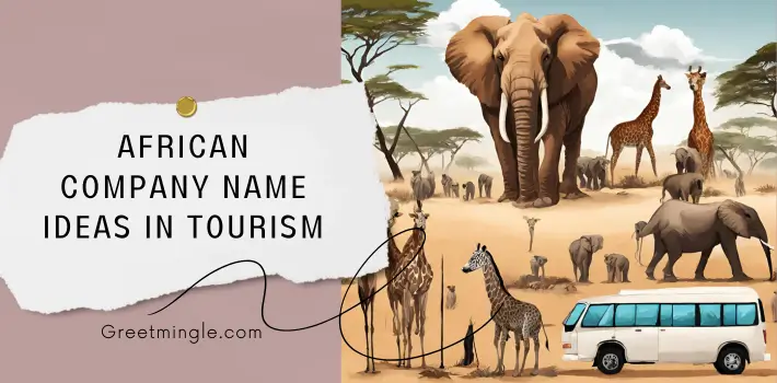 african company name ideas in tourism