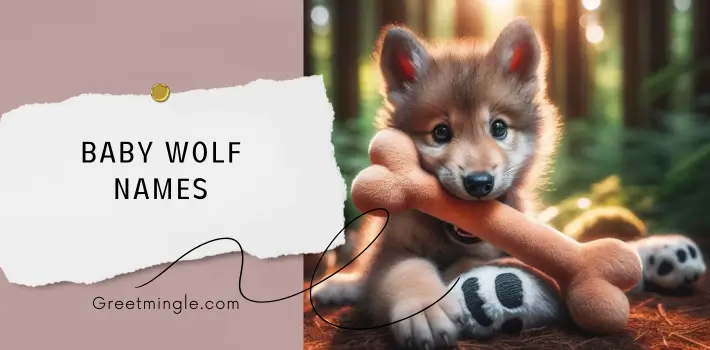 baby wolf names