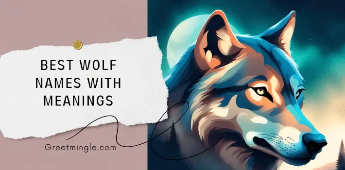 best wolf names with meanings 