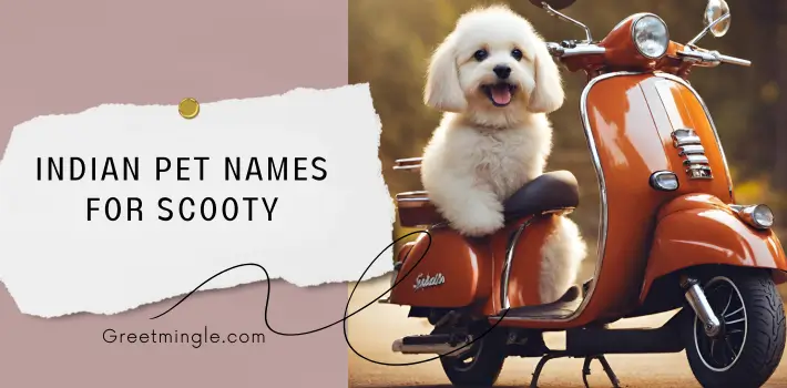 indian pet names for scooty