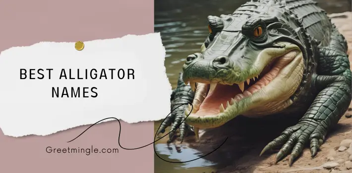 Best Alligator Names 