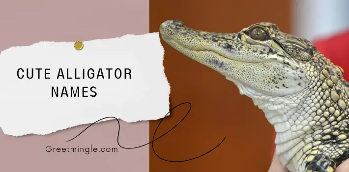 Cute Alligator Names