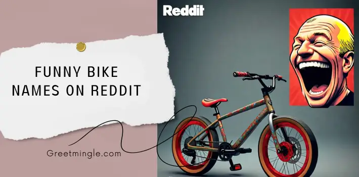 Funny Bike Names on Reddit