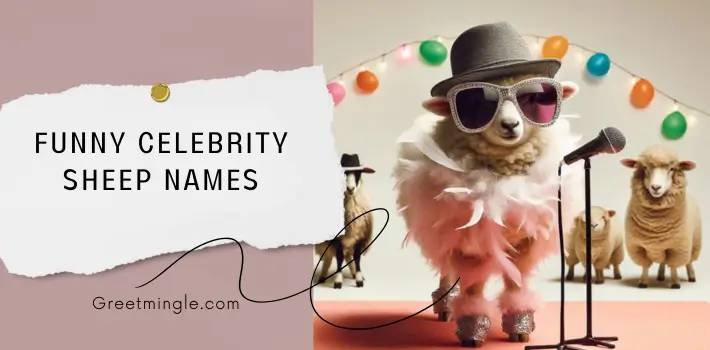 Funny Celebrity Sheep Names