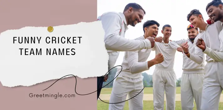 Funny Cricket Team Names