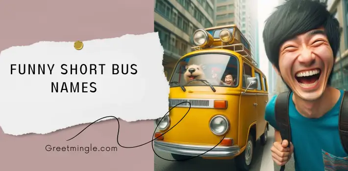 Funny Short Bus Names