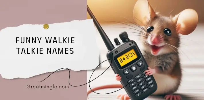 Funny Walkie Talkie Names 