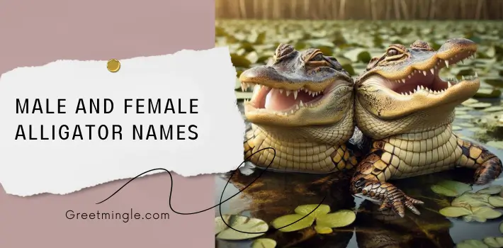 Male and Female Alligator Names