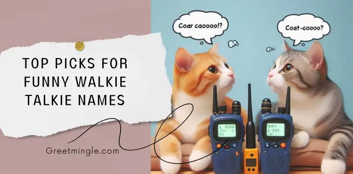 Top Picks For Funny Walkie Talkie Names