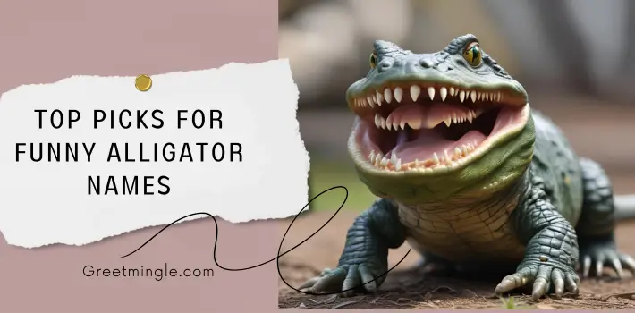 Top Picks for Funny Alligator Names