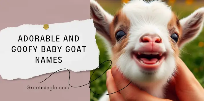 Adorable And Goofy Baby Goat Names