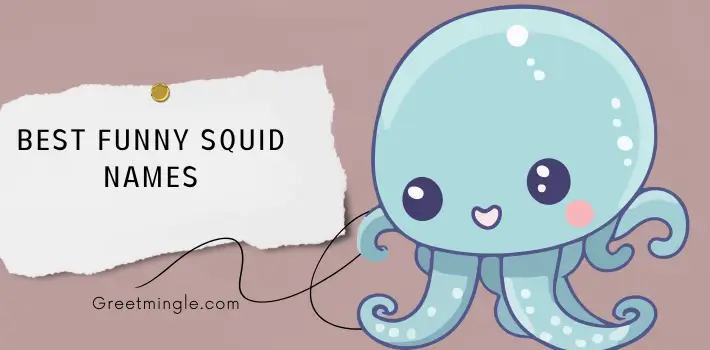 Best Funny Squid Names