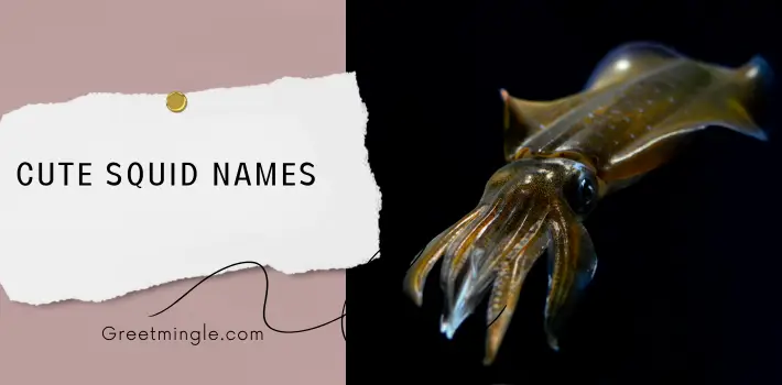 Cute Squid Names