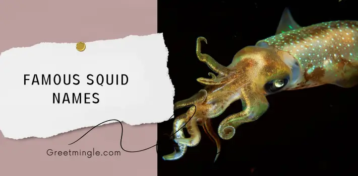 Famous Squid Names