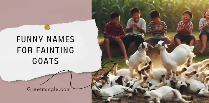 Funny Names For Fainting Goats