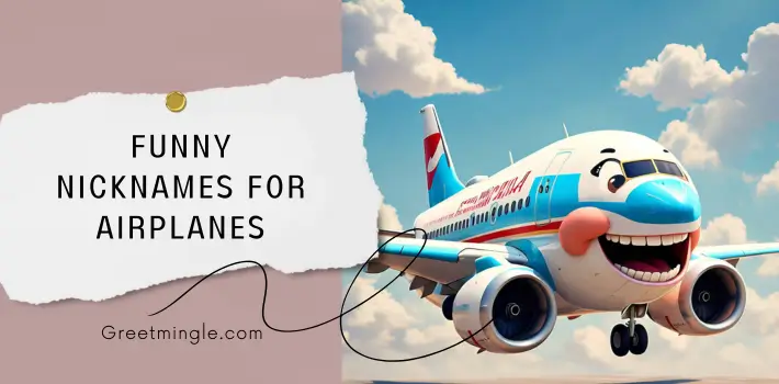 Funny Nicknames For Airplanes