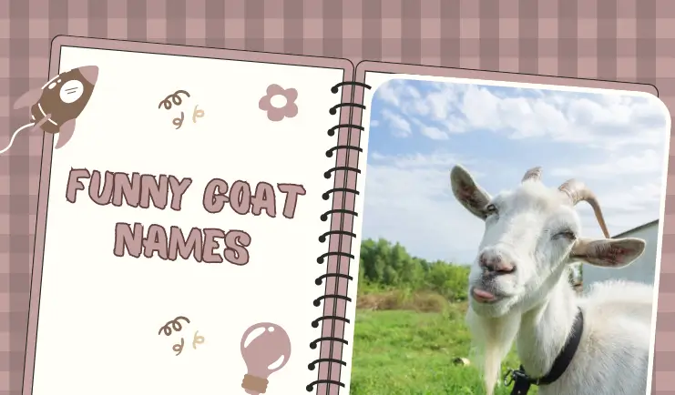 funny goat names