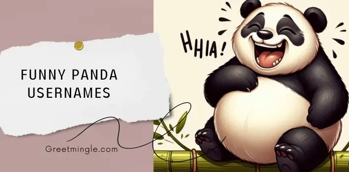 Funny Panda Usernames