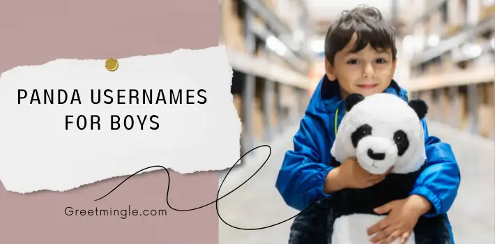 Panda Usernames For Boys