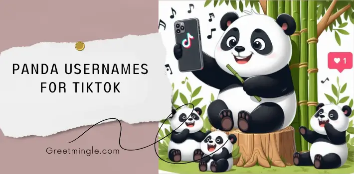 Panda Usernames For TikTok