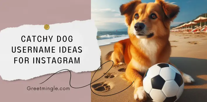 Catchy Dog Username Ideas For Instagram