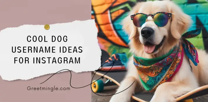 Cool Dog Username Ideas For Instagram