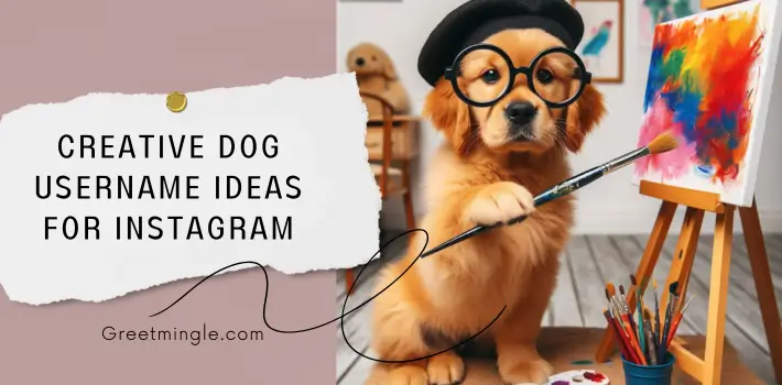 Creative Dog Username Ideas For Instagram