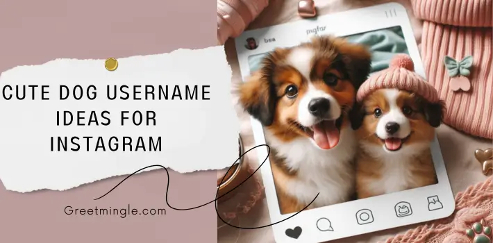 Cute Dog Username Ideas For Instagram