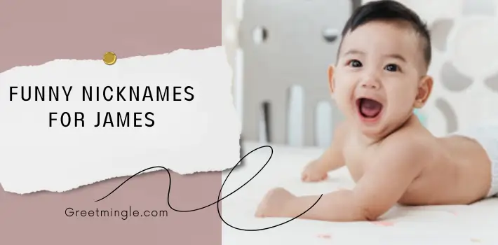 Funny Nicknames For James