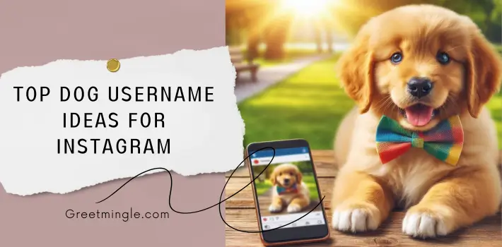 Top Dog Username Ideas For Instagram