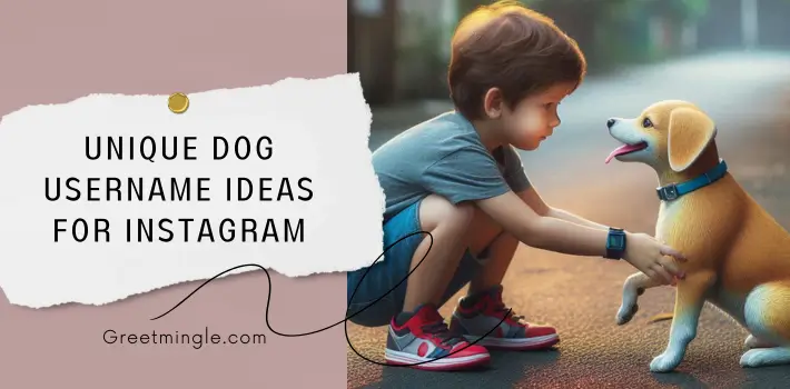 Unique Dog Username Ideas For Instagram