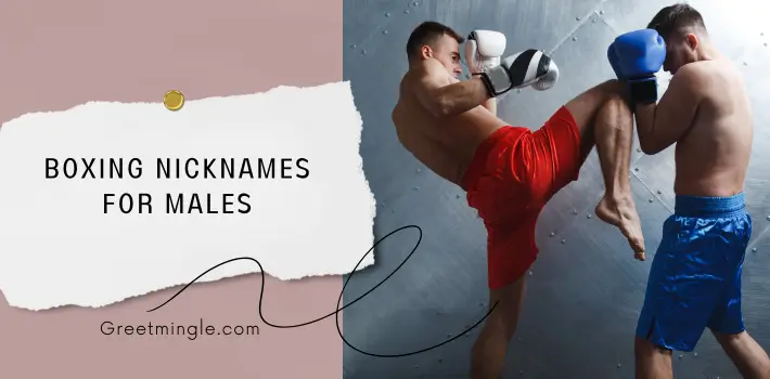 Boxing Nicknames For Males