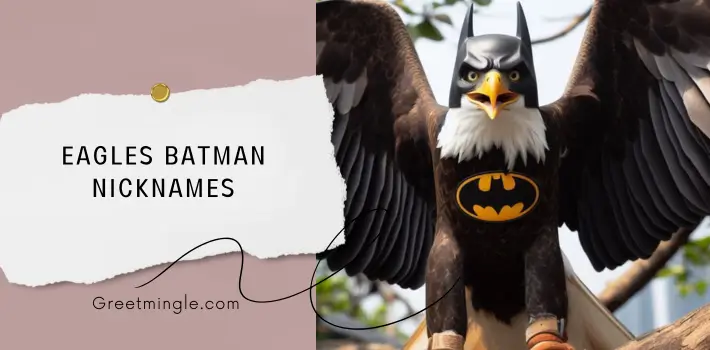 Eagles Batman Nicknames