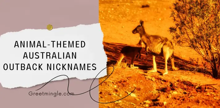 Animal-Themed Australian Outback Nicknames